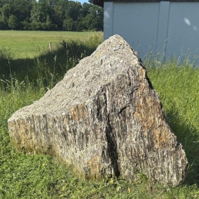 Felsen/Monolith Steinrinde, Gnei...
