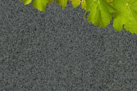 Sohlbank Außenfensterbank Granit G654  Padang dunkel | naturstein-online-kaufen.de